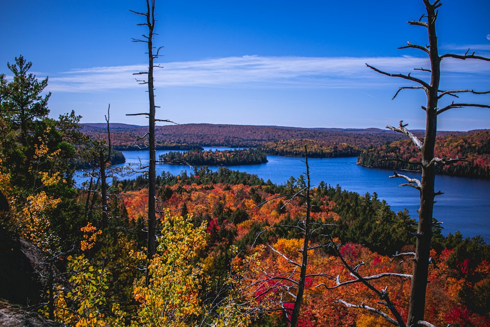 Algonquin Provincial Park Day Tour from Toronto – Toronto, Ontario