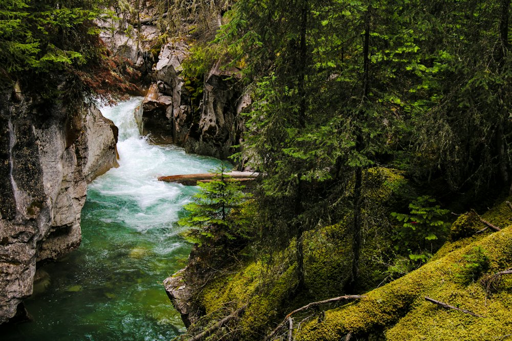 Banff Sightseeing & Johnston Canyon Tour – Banff, Alberta