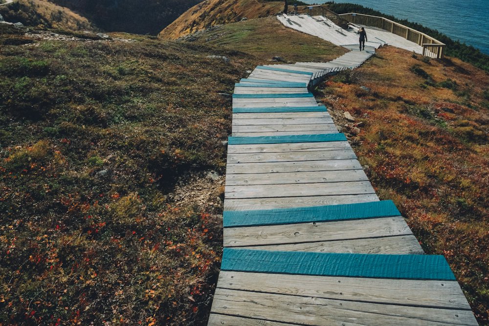 Cabot Trail Scenic Day Tour – Cape Breton, Nova Scotia