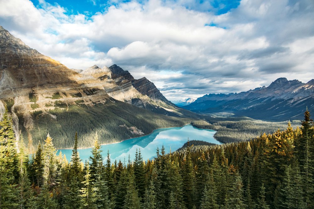 Icefields Parkway Scenic Day Tour – Banff, Alberta