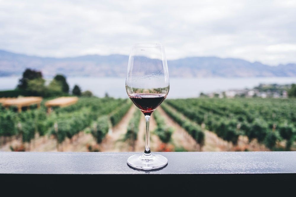 Okanagan Wine Tasting Tour from Kelowna – Kelowna, British Columbia