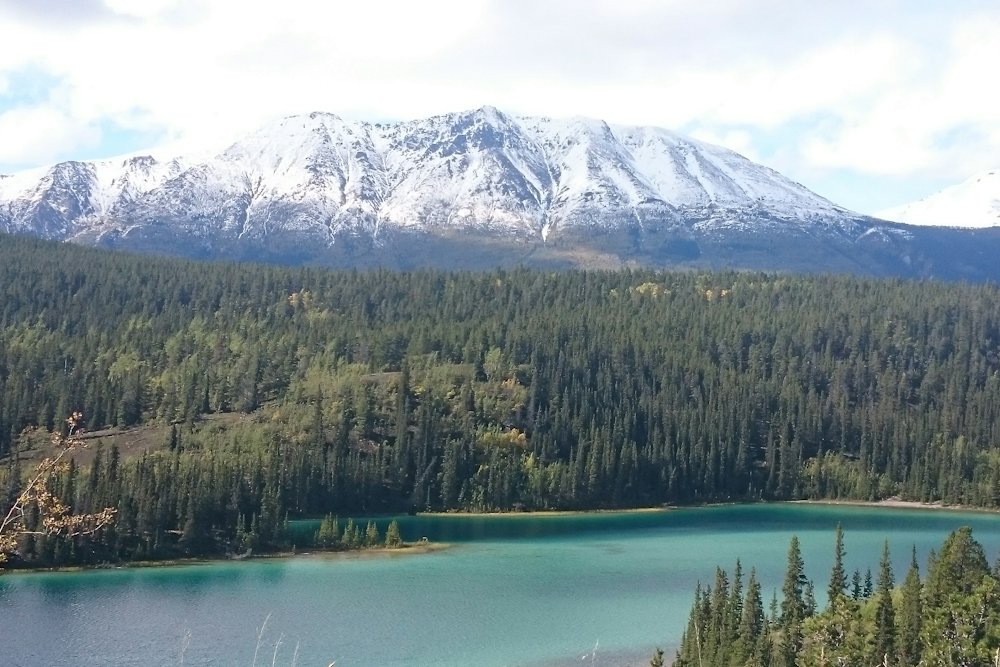 Whitehorse & Miles Canyon Sightseeing Tour – Whitehorse, Yukon